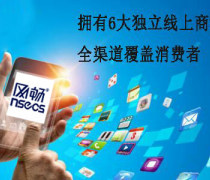 重庆B2B平台与电商软件开发解决方案 商城系统与CRM深度整合